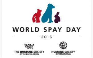 World Spay Day 2013